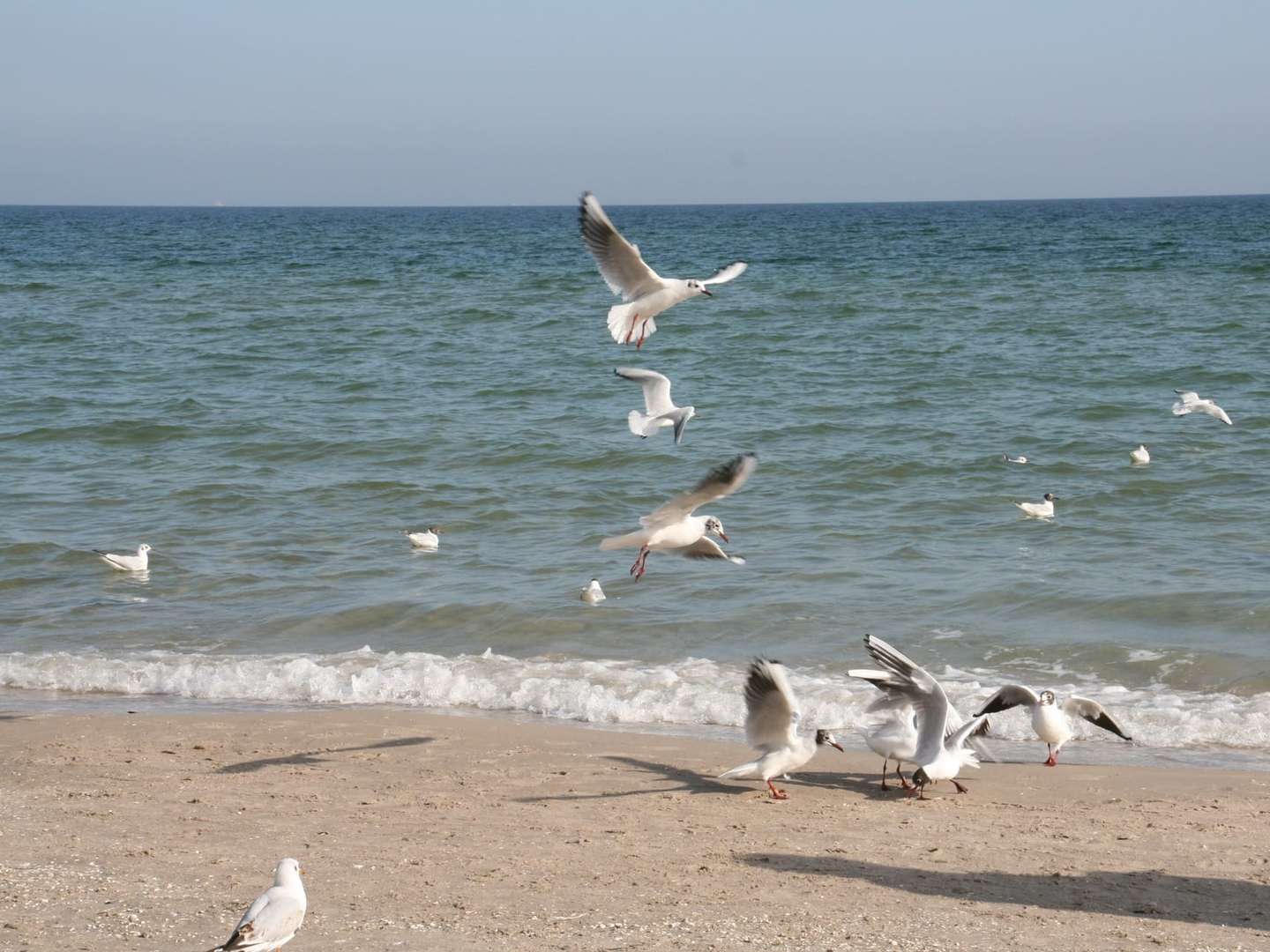 Ostsee-Romantik mit Whirlwanne inkl. Abendmenü 