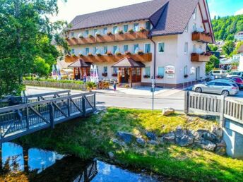 6 Tage  4x Halbpension ,Titisee, Schluchsee, Feldberg, Wutachschlucht, Schluchtensteig