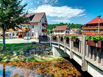 Stopover im Schwarzwald zwischen Titisee & Schluchsee 