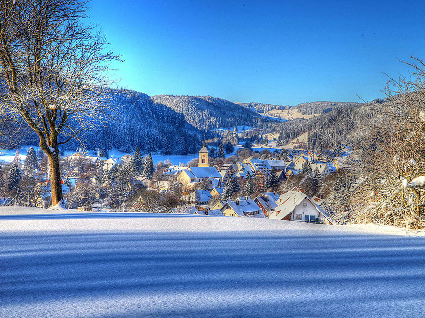 4 Tage Winterauszeit 3x HP (1x Fondue)  im südlichen Schwarzwald  Feldberg, Lenzkirch 