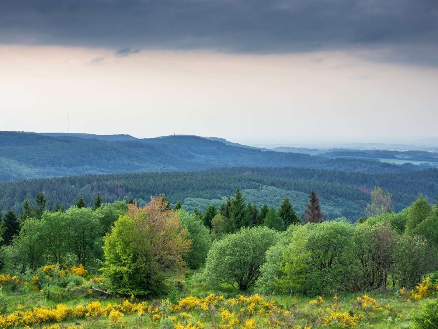 2 Tage zu Fuß ums Dorf der Tiere im Weserbergland