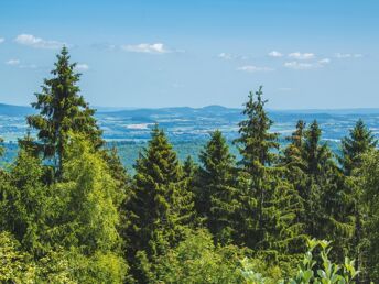 2 Tage Lippe und die Externsteine erleben inkl. 3-Gang-Menü