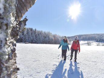 6 Tage Herbstromantik inkl. Halbpension & Führung Saigerhütte