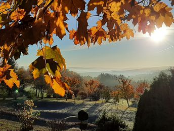 In des Waldes Ruh im Erzgebirge 