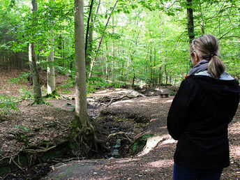 Wandern in der Wingst- die grüne Lunge der Nordsee- 5 Tage