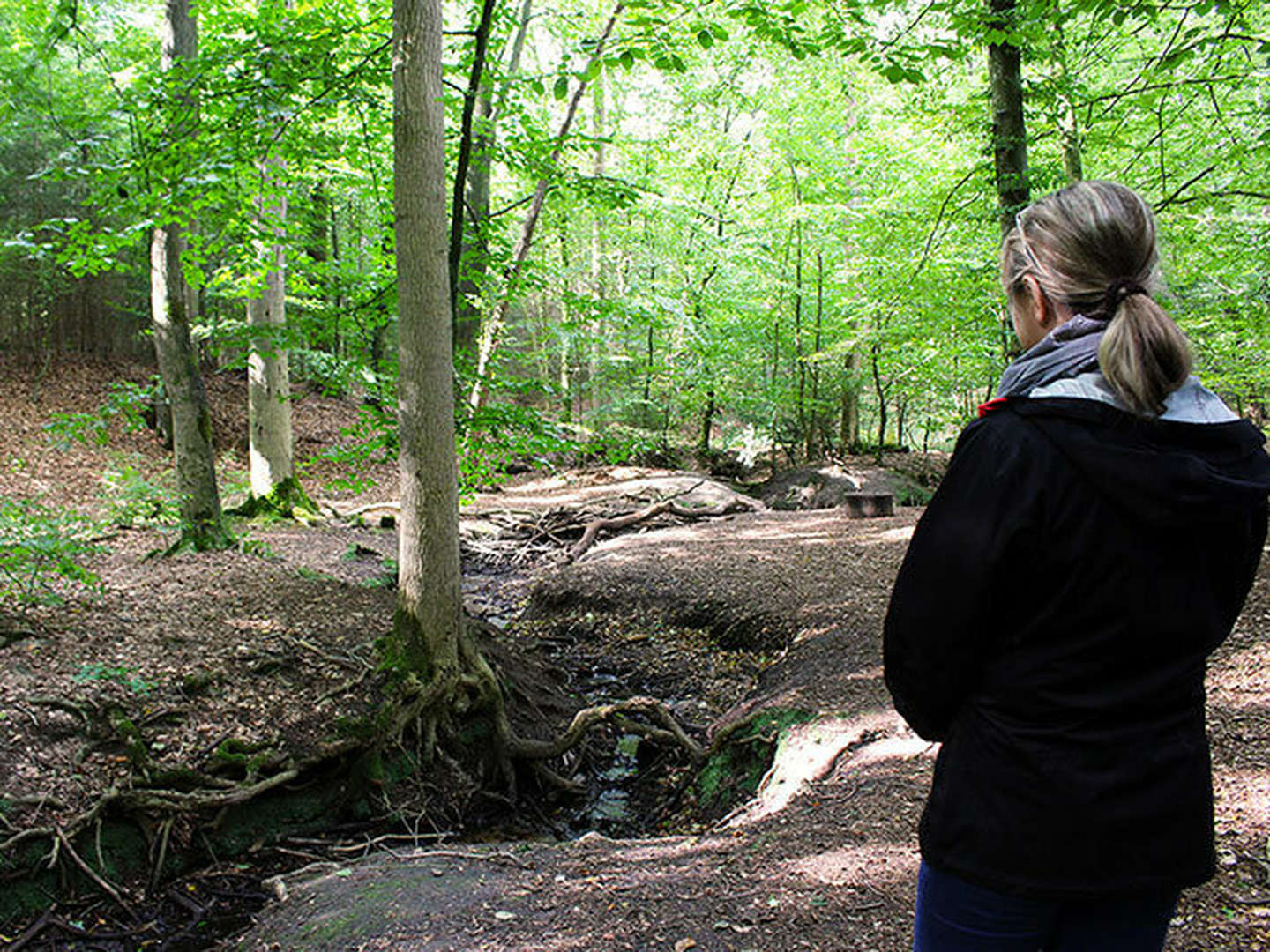 Romantik pur in der Wingst - die grüne Lunge der Nordsee