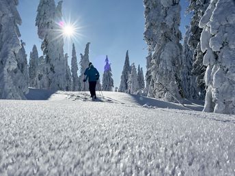 Hoamatgfui - im bayerischen Wald mit Massage - 4 Tage 2025