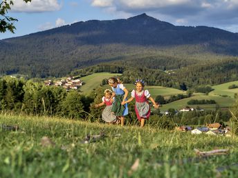 Schnell mal Weg in den Bayerischen Wald - 3 Tage  inkl. Abendessen 2025