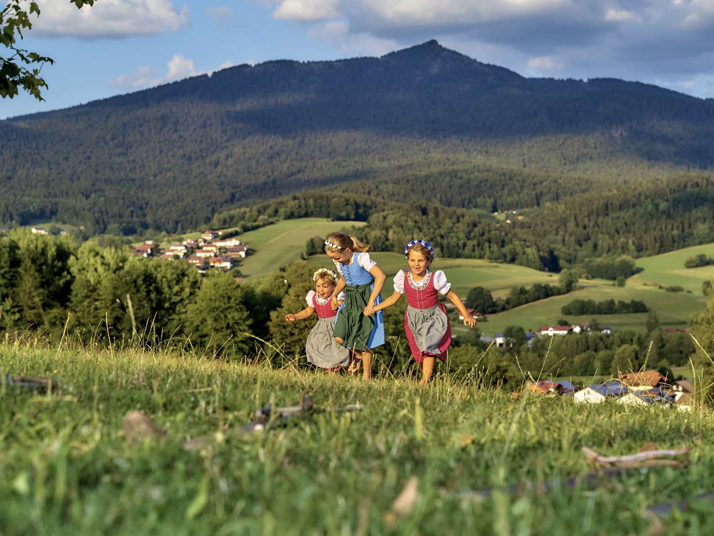 Kennenlerntag im Bayerischen Wald - 2 Tage inkl. Abendessen 2025