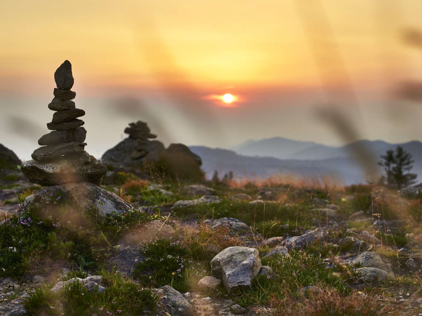 Traumwoche für Zwei - 7 Tage inkl. Kutschfahrt durch den bayerischen Wald