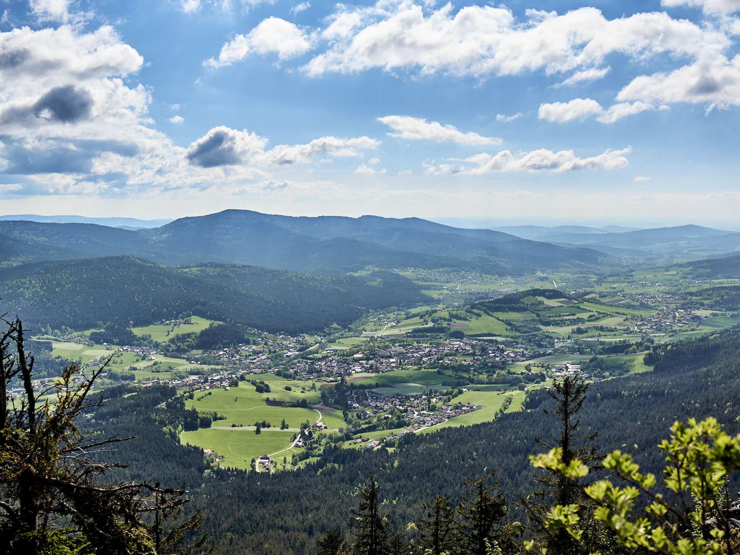 Hoamatgfui - im bayerischen Wald mit Massage - 4 Tage 2025