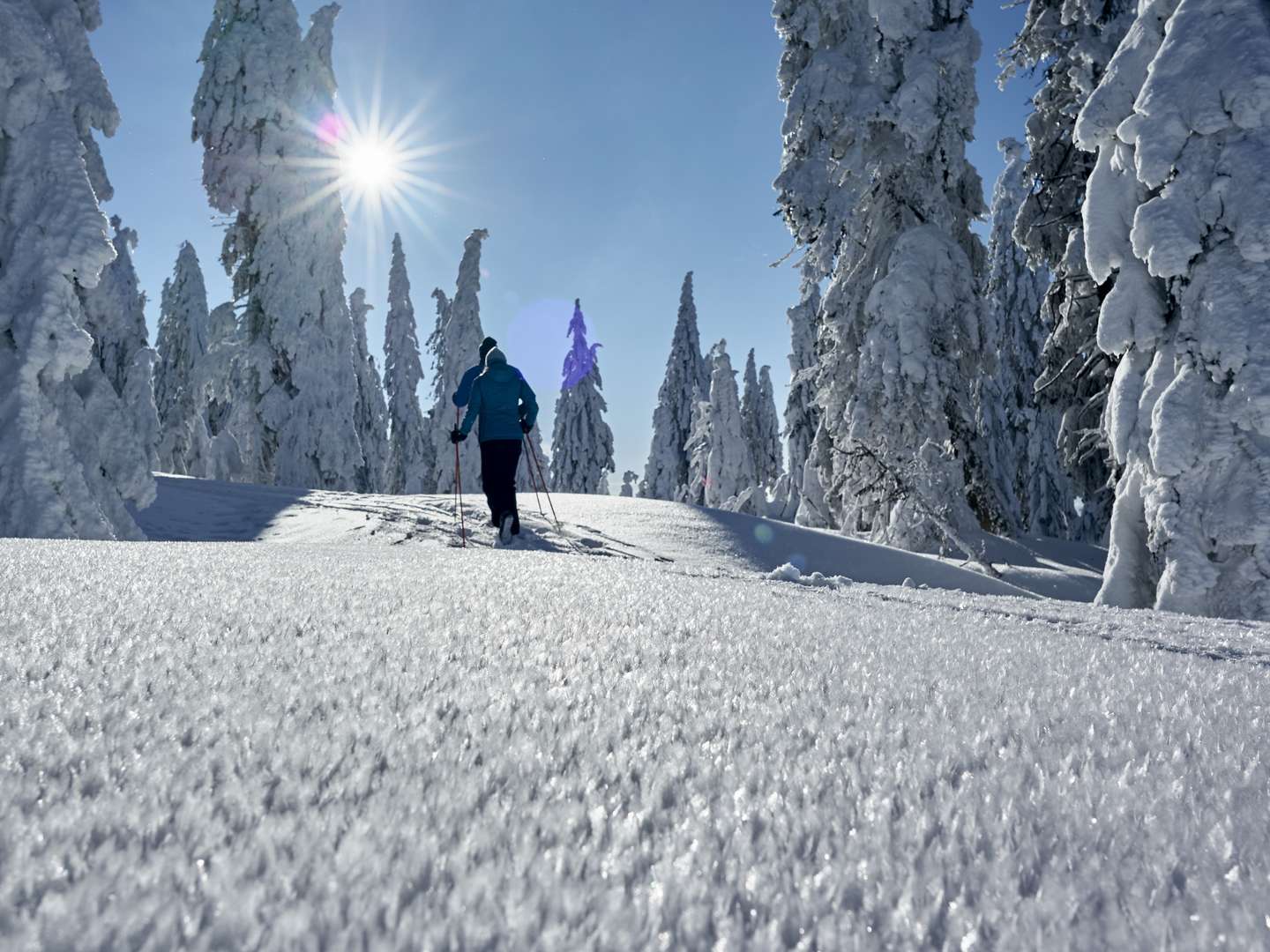 Traumwoche für Zwei - 7 Tage inkl. Kutschfahrt durch den bayerischen Wald