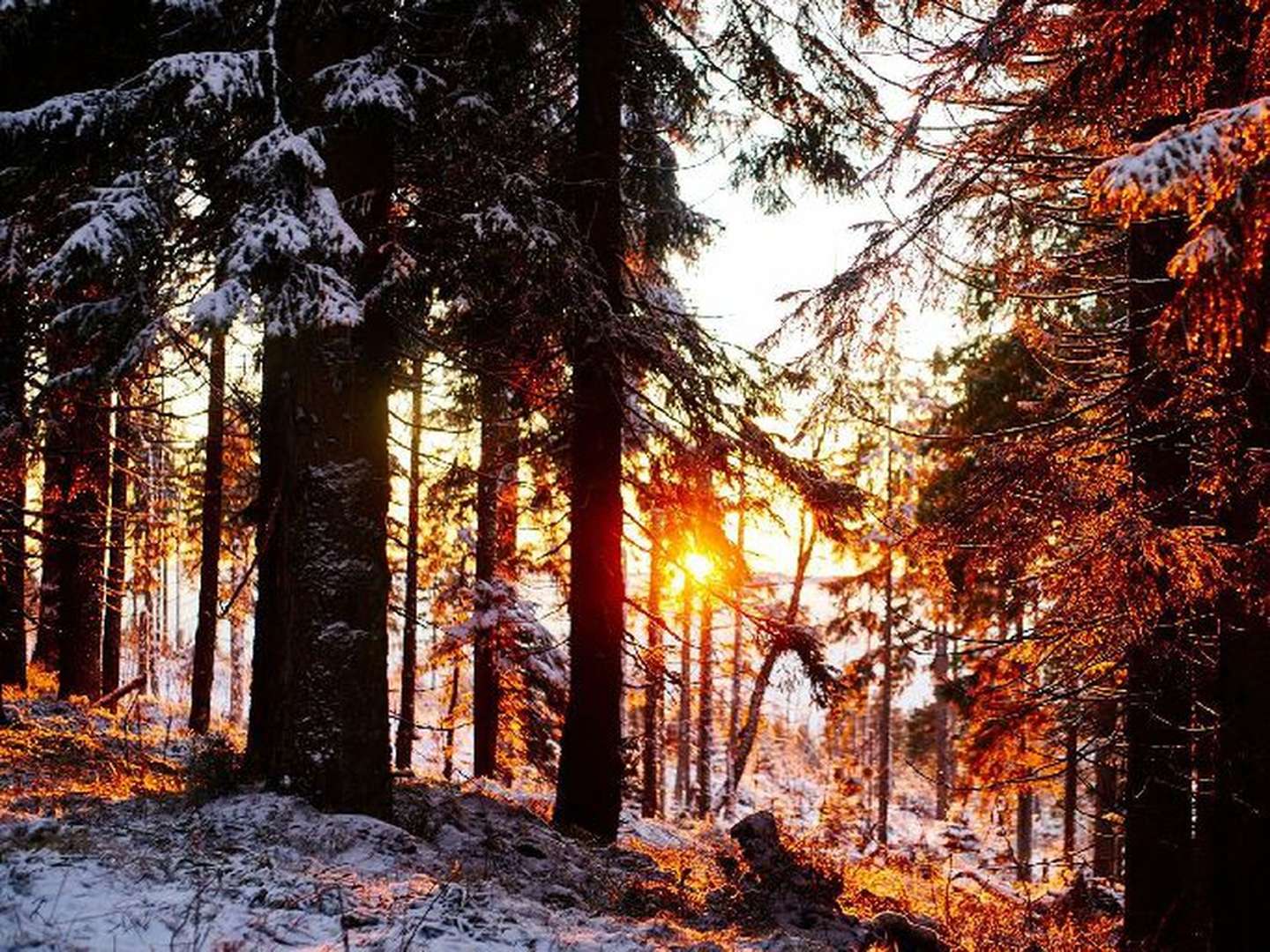 6 Tage Auszeit im Dreiburgenland inkl. Halbpension 