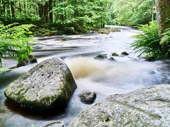 Wandern und Radln im Ilztal - 4 Tage