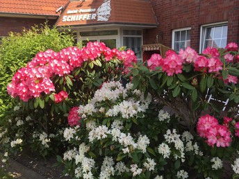 Herbst- Auszeit an der Nordsee 