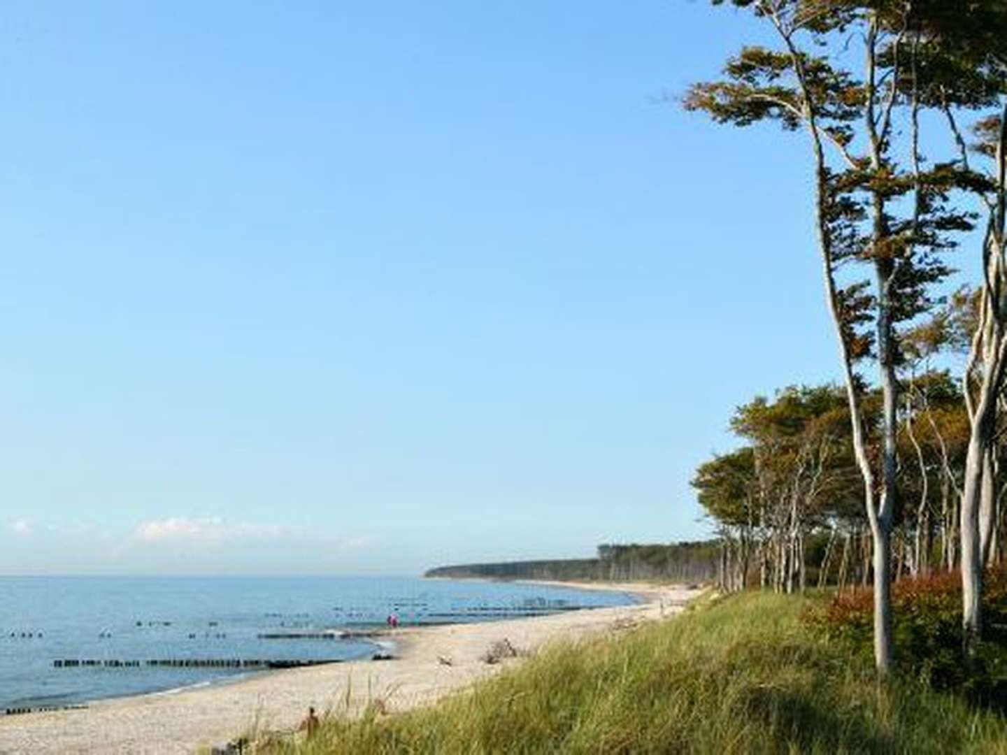 Weihnachten am Meer im malerischem Ahrenshoop