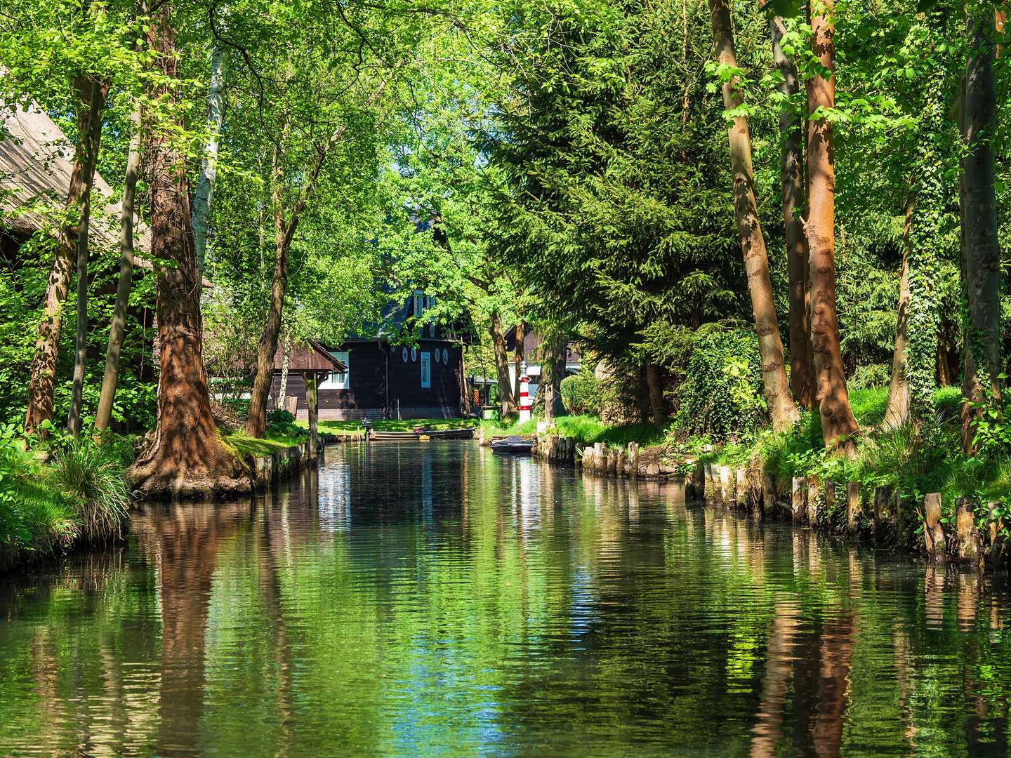 5 Tage Therme & Genuss auf dem Kräutermühlenhof Burg Spreewald 