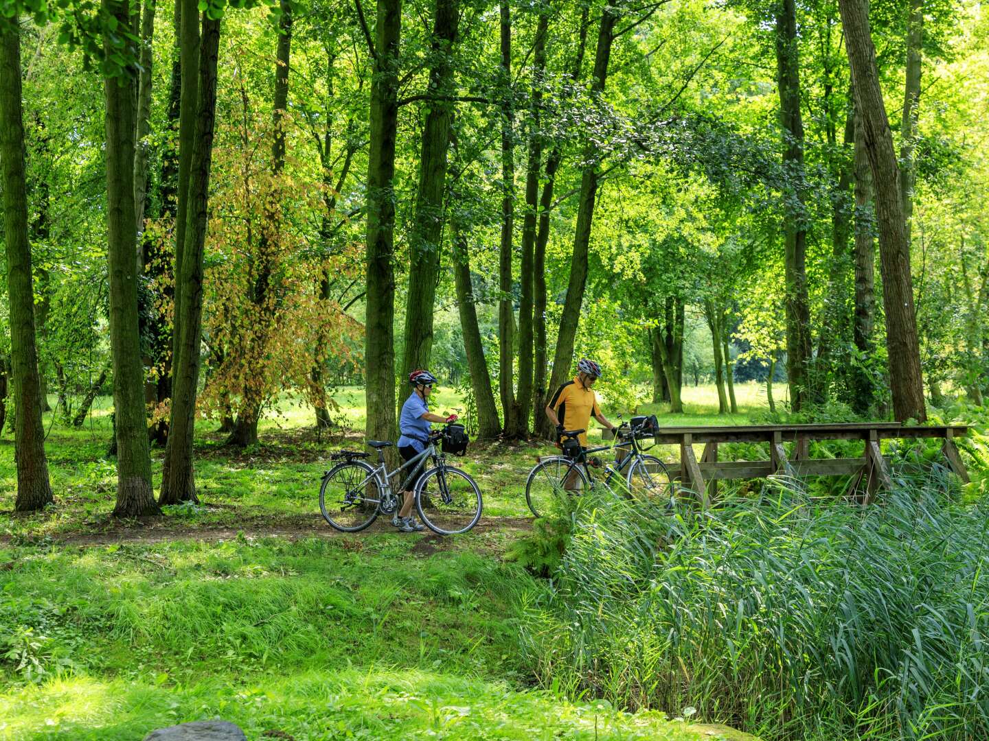 6 Tage Spreewälder Raderlebnis in Thermennähe