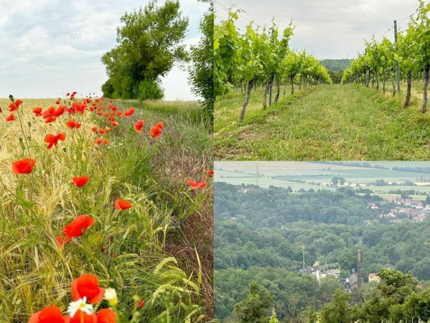 Wanderurlaub in Thüringen - 3 Tage