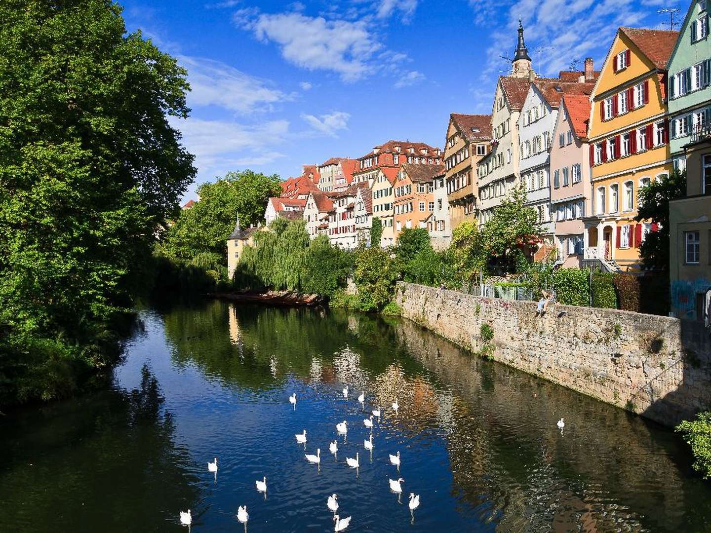 Wandern zwischen Neckar-Biosphärengebiet und Schwäbischer Alb