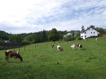 Deine Auszeit im Grünen | 3 Tage im Sauerland inkl. Sauerland Card