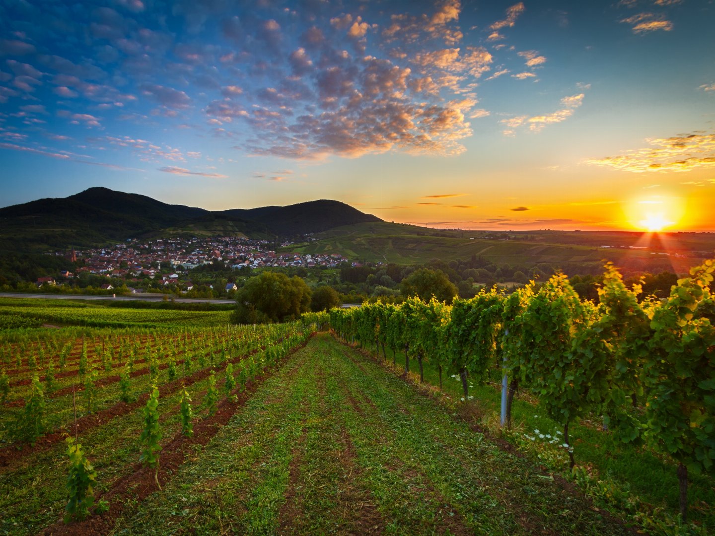 Auszeit in der Pfalz inkl. Halbpension