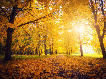 Goldener Herbst direkt am Plauer See 