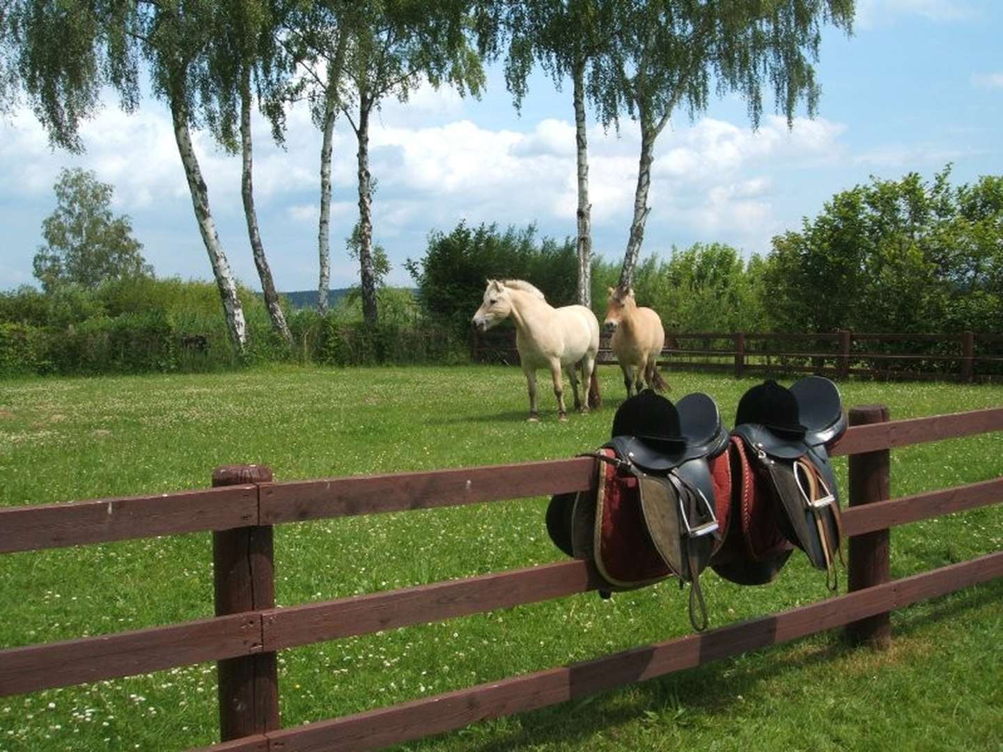 Last minute - Kurzurlaub am Plauer See