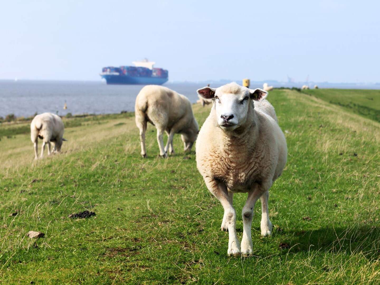 Geniessertage an der Nordsee im Kleinen Hans