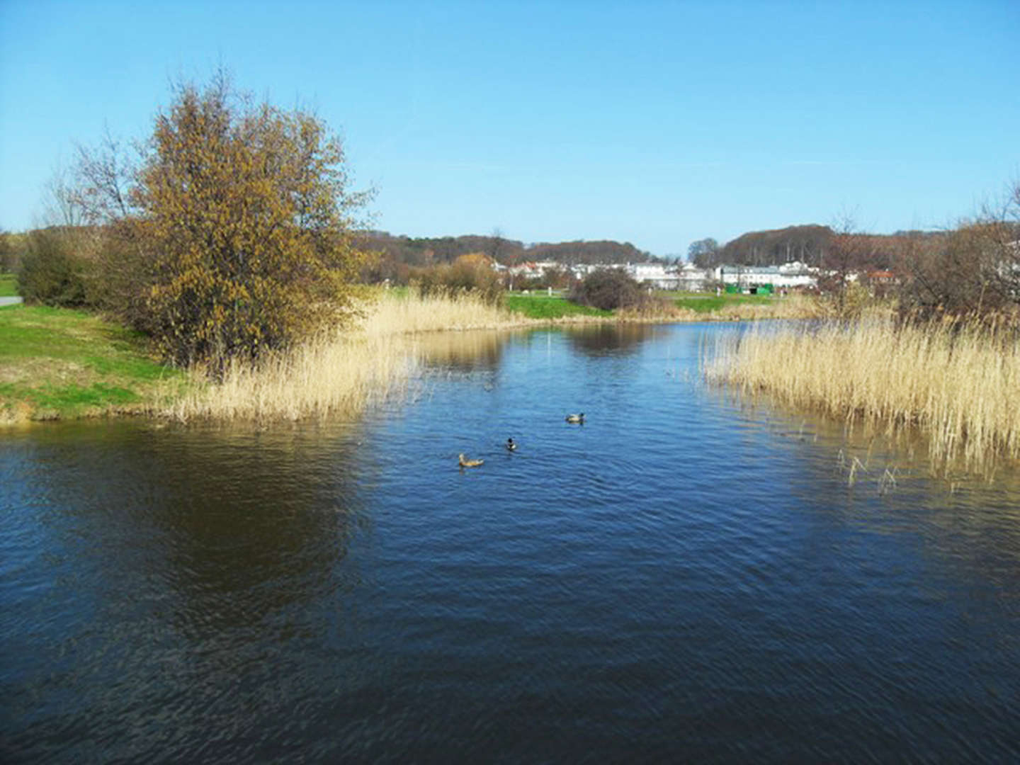 Kurztrip nach Rügen - 3 Tage Rügen entdecken inkl. Baumwipfelpfad