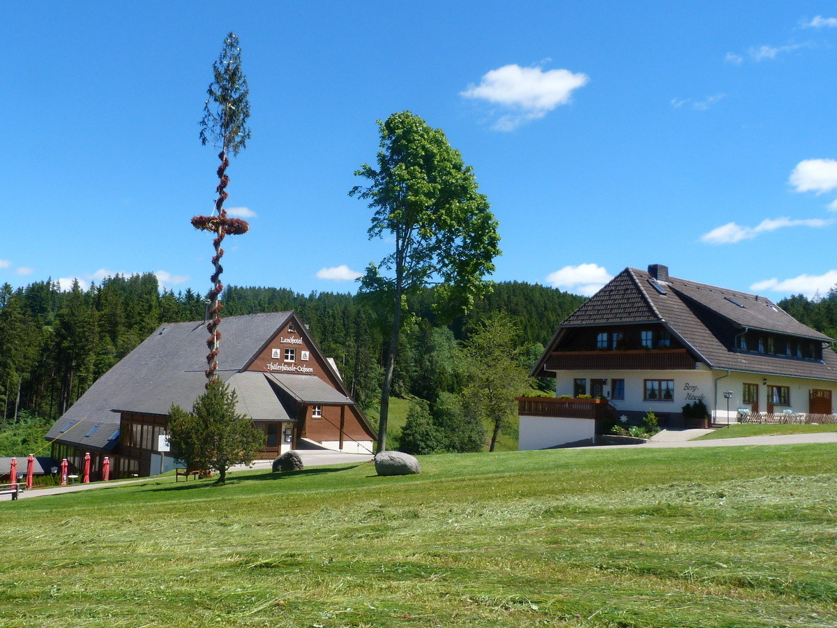 5 Erholungstage im Schwarzwald