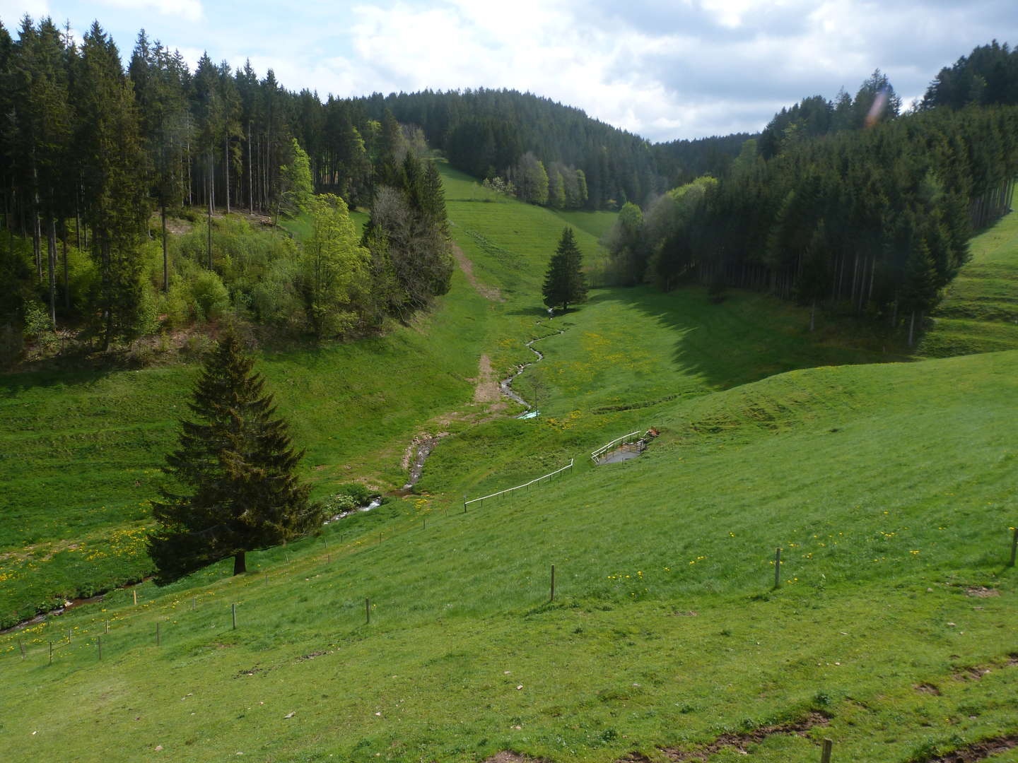 4 Erholungstage im Schwarzwald