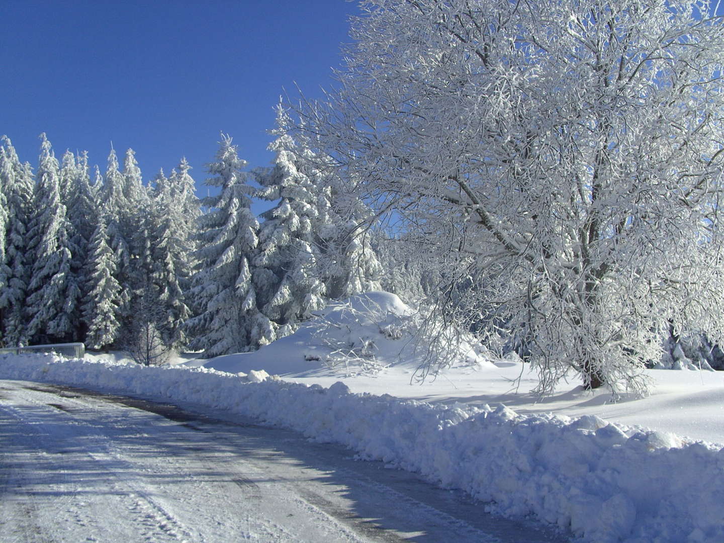 3 Erholungstage im Schwarzwald