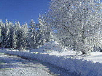 4 Erholungstage im Schwarzwald