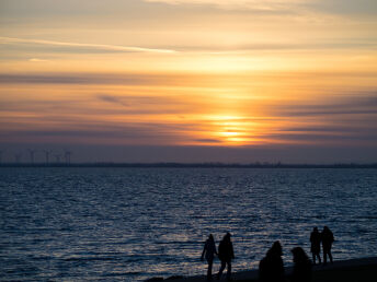 4 Tage Jadebusen und Nationalpark Niedersächsisches Wattenmeer erleben! 