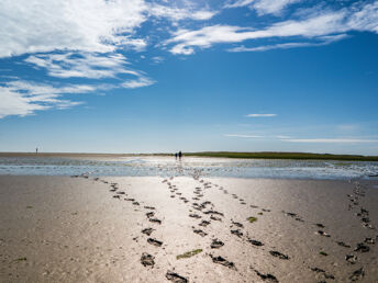 4 Tage Jadebusen und Nationalpark Niedersächsisches Wattenmeer erleben! 