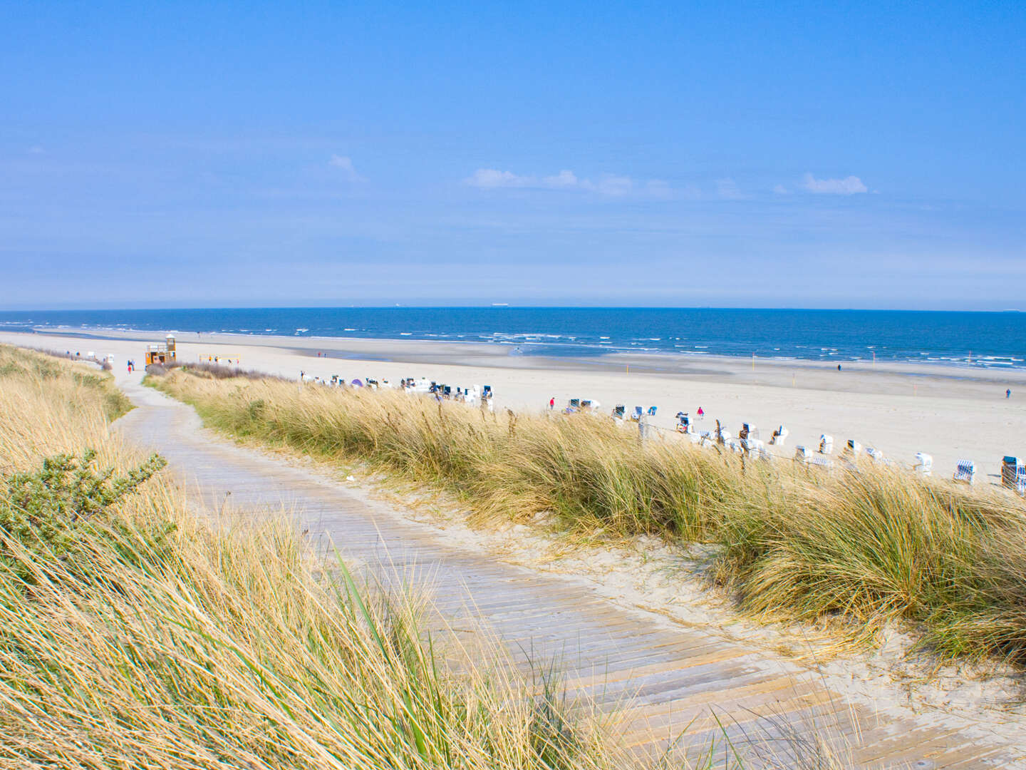 6 Tage Jadebusen und Nationalpark Niedersächsisches Wattenmeer erleben! 