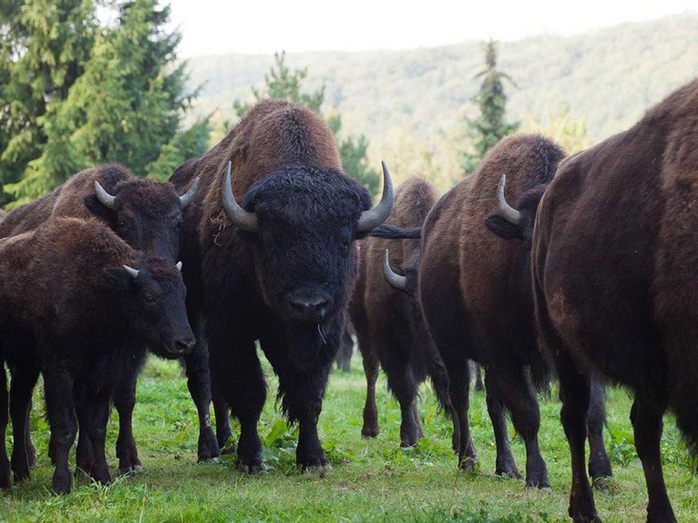 Kleine Auszeit im Südharz