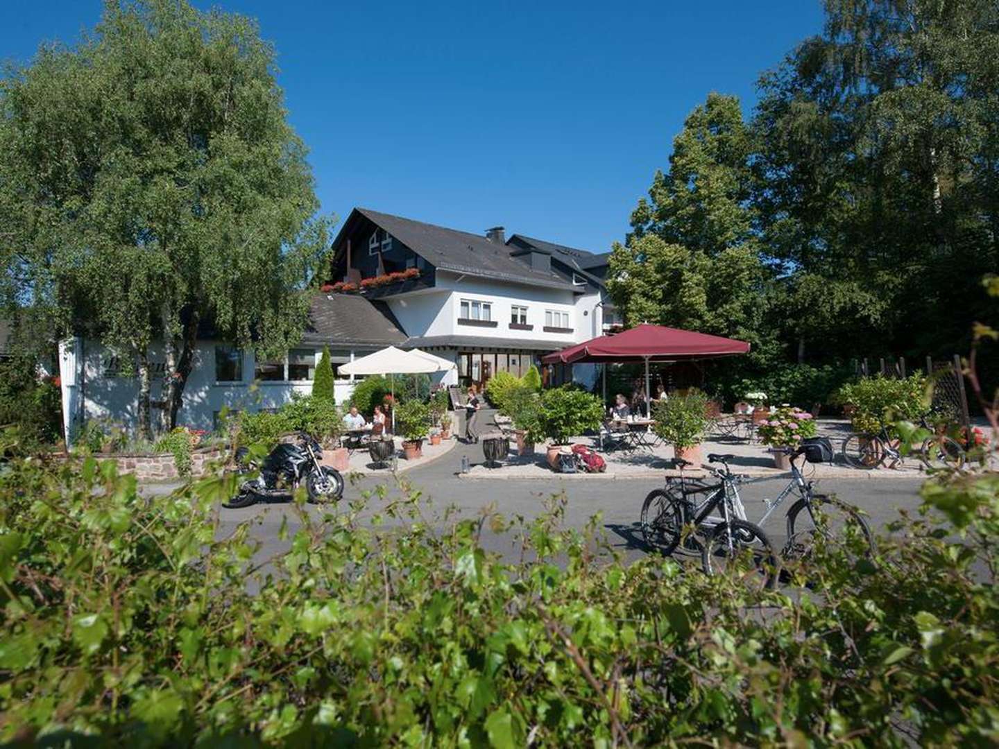 Geierlay Hängeseilbrücke inkl. Picknickkorb und Wein