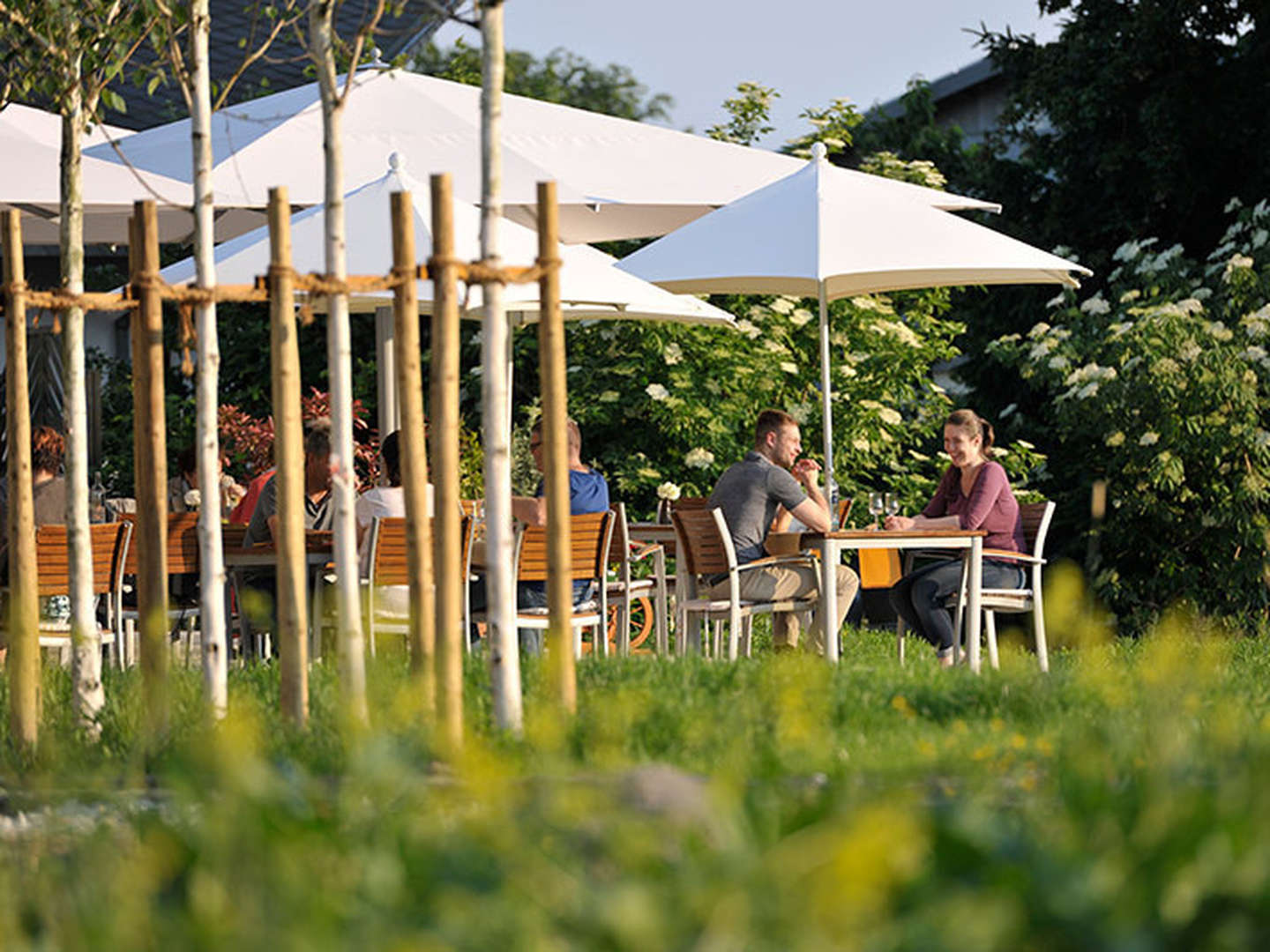 Geierlay Hängeseilbrücke inkl. Picknickkorb und Wein