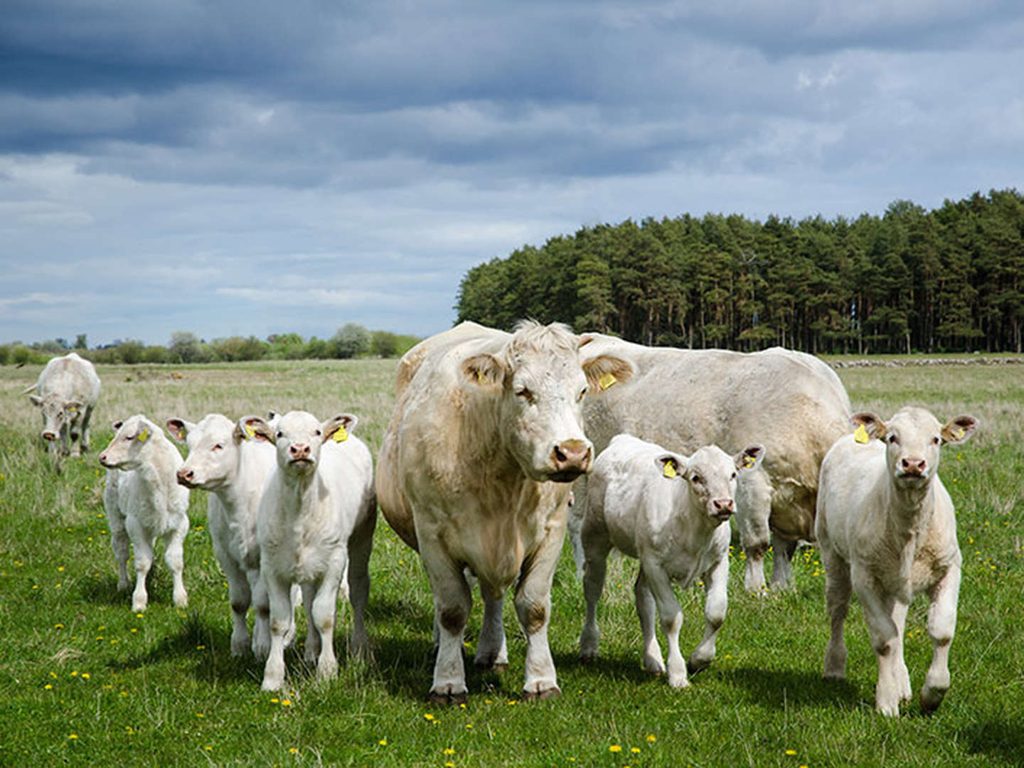 Landidyllische Ostern im wunderschönen Hunsrück