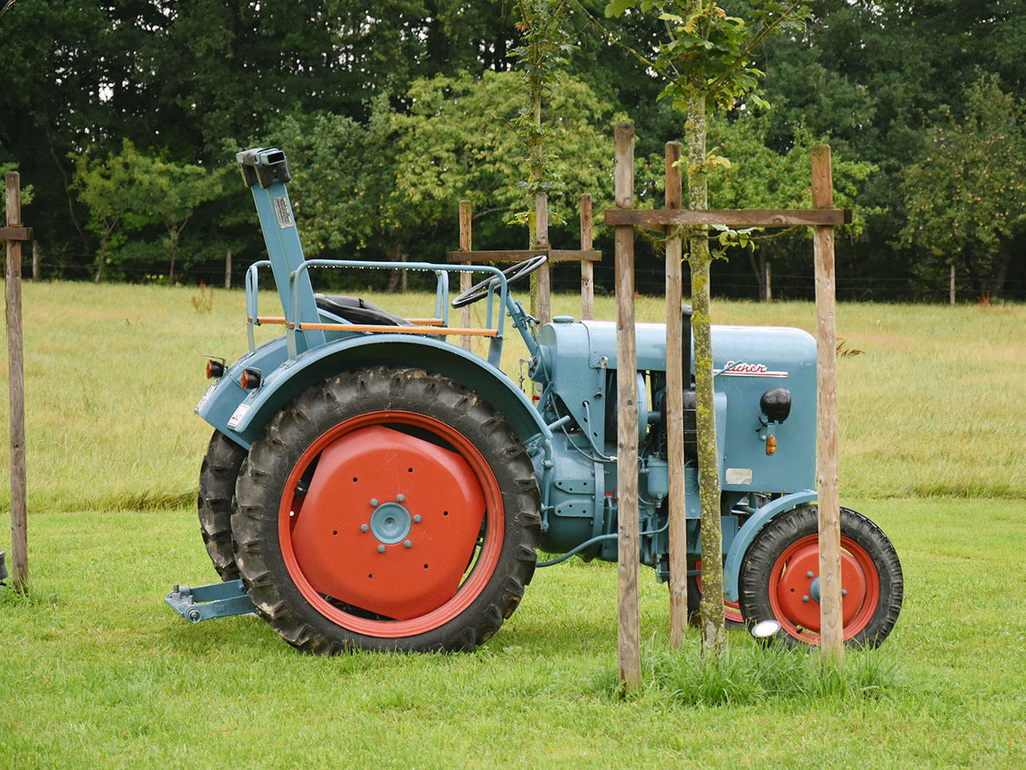 4 Tage Kurzurlaub im Landidyll inkl. 2 x Halbpension Sommerspecial