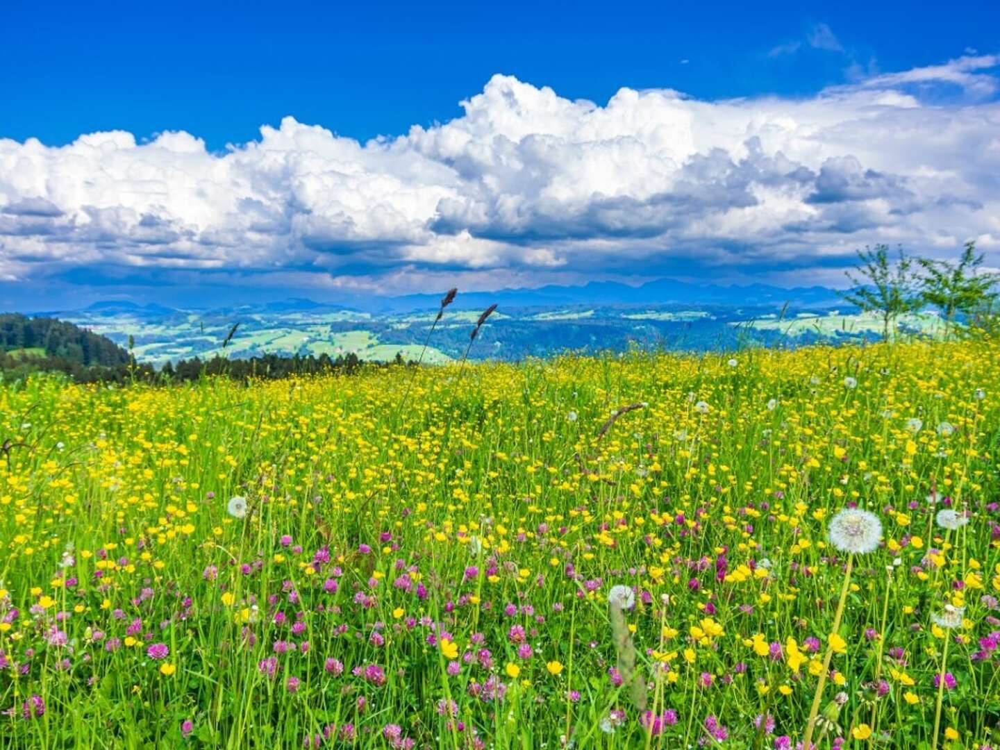 Zweisamkeit mit Massage im Allgäu