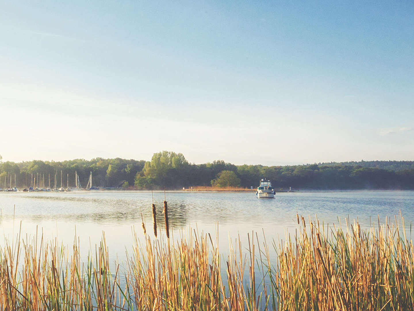 Meeresbrise am Steinhuder Meer inkl. Bootsfahrt - 3 Tage 