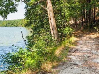 Schwarzwald im Sommer -  Wandern, Genuss & Entspannung