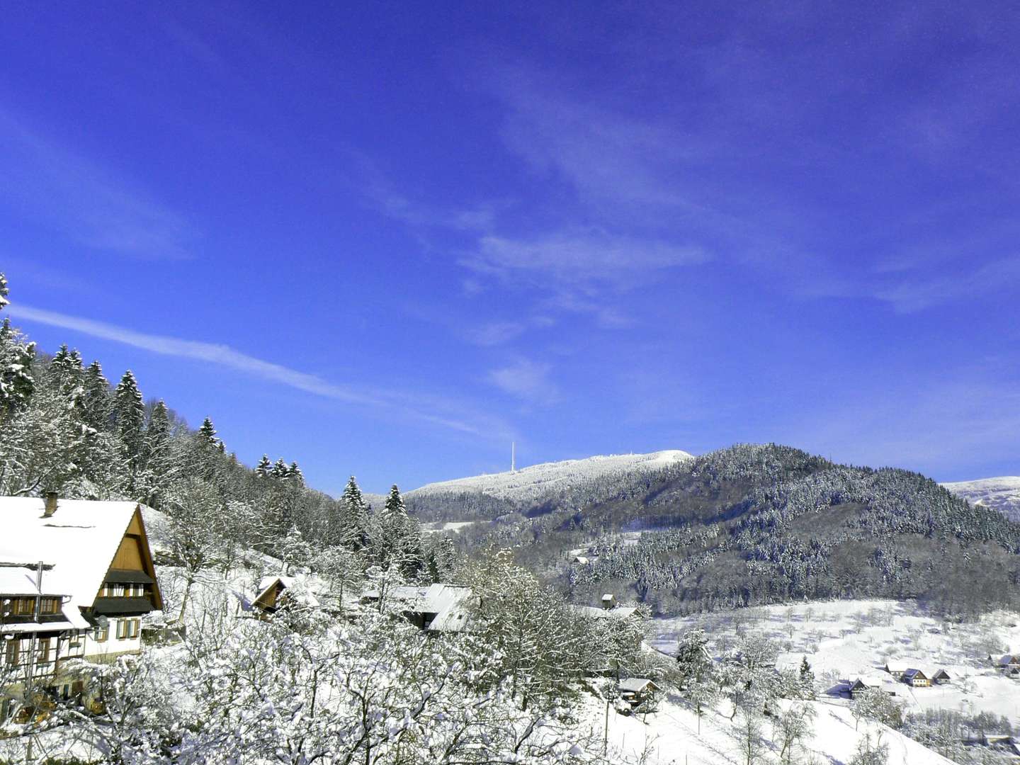 Schwarzwald im Sommer -  Wandern, Genuss & Entspannung