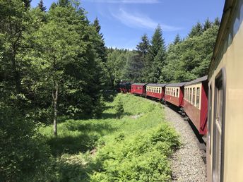 Mit dem Bike durch den Harz inkl. Halbpension