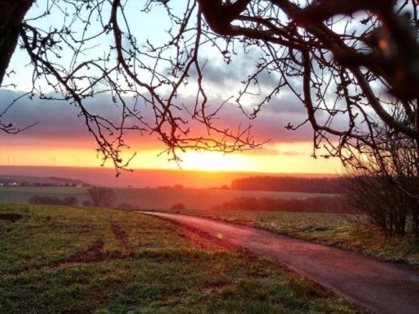 Weihnachten am Donnersberg - Eine Woche in der Pfalz inkl. HP