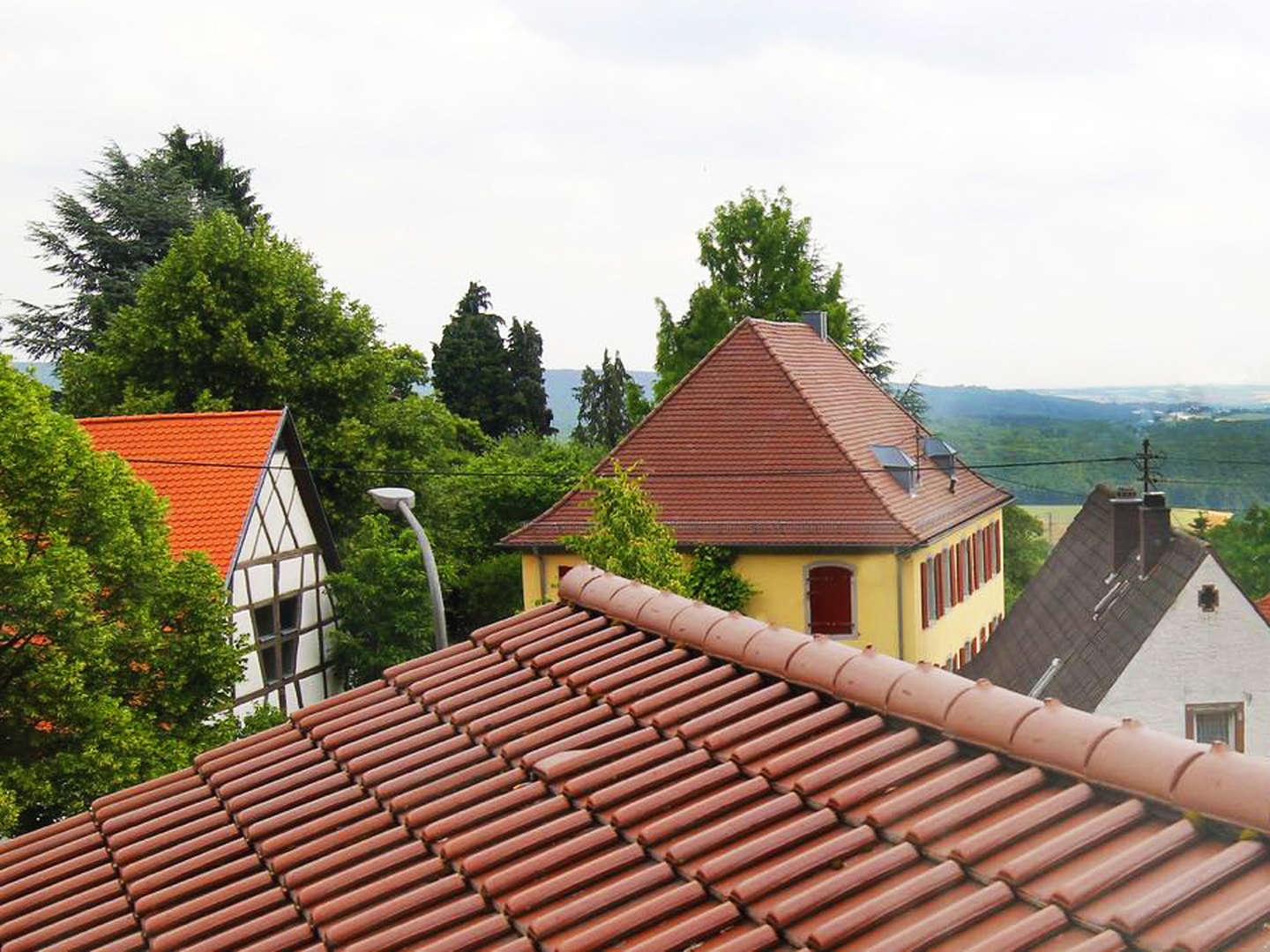 Gans(z) lecker... und entspannt in der Pfalz