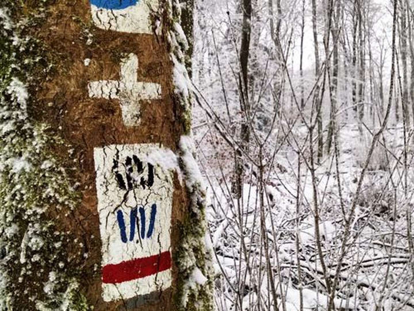 Pfälzer Höhenwegtour 2 Nächte